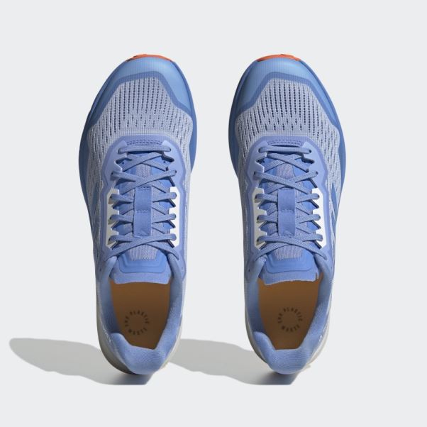 Adidas Terrex Agravic Flow Trail Running Chaussures 2.0 Bleu Aube