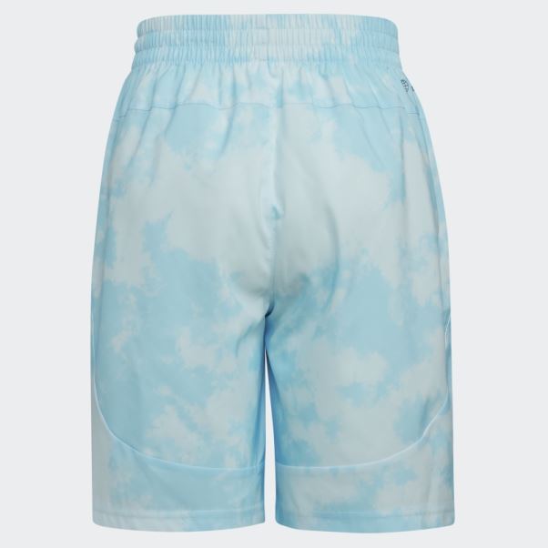 Adidas Axe Short Tissé Bleu