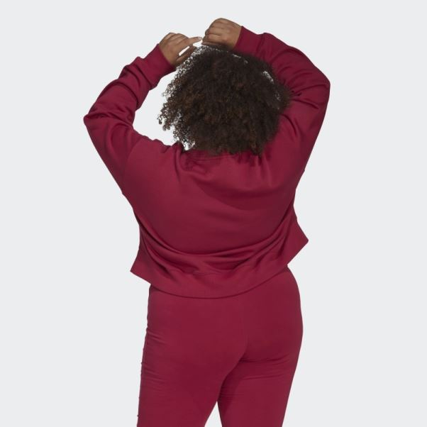 Sweat Adidas Adicolor Essentials Crew (taille Plus) Bordeaux