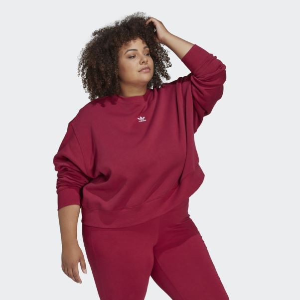 Sweat Adicolor Essentials Crew (taille Plus) Adidas Bordeaux