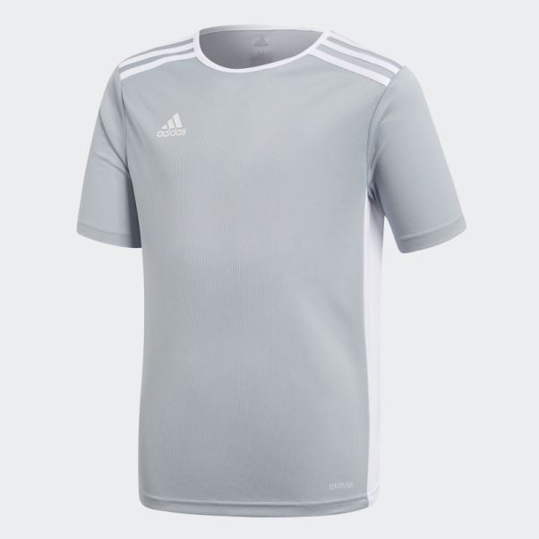 Maillot Entrada Gris Clair Adidas