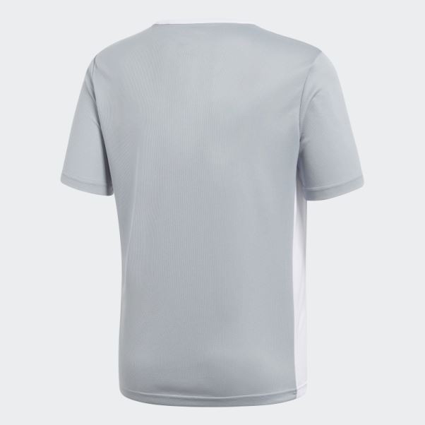 Maillot Entrada Gris Clair Adidas