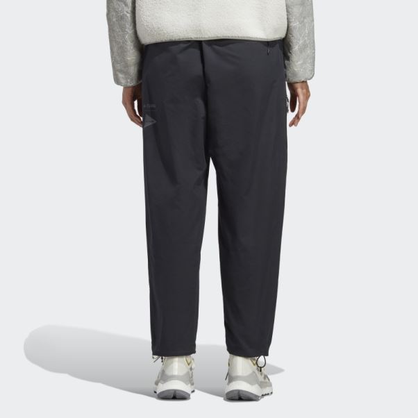 Pantalon Terrex X And Wander Noir Adidas