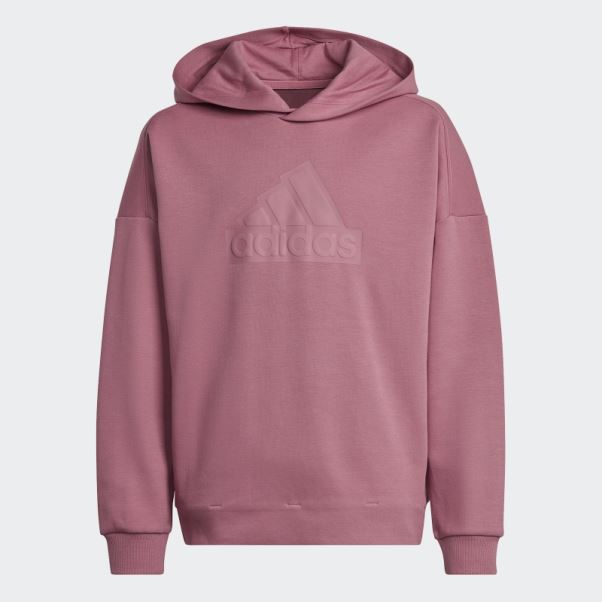 Sweat à Capuche Logo Future Icons Rose Adidas
