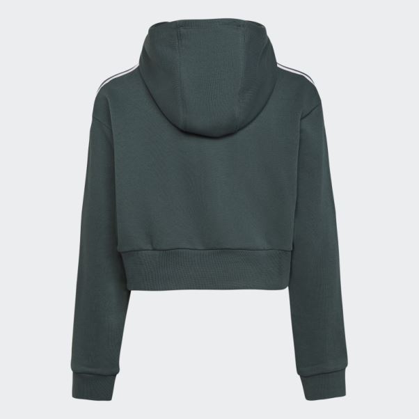 Adidas Sweat à Capuche Court Adicolor Vert Minéral