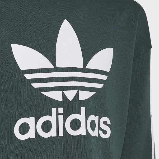 Adidas Sweat à Capuche Court Adicolor Vert Minéral