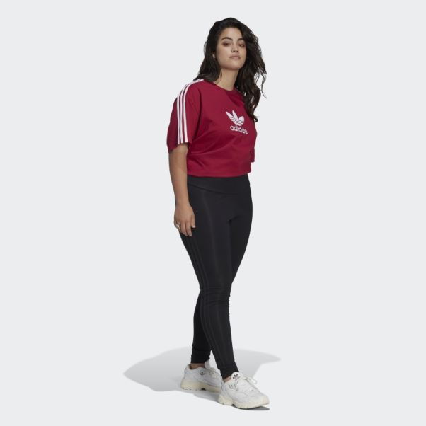 Adicolor Trèfle Tee (grande Taille) Adidas Bordeaux