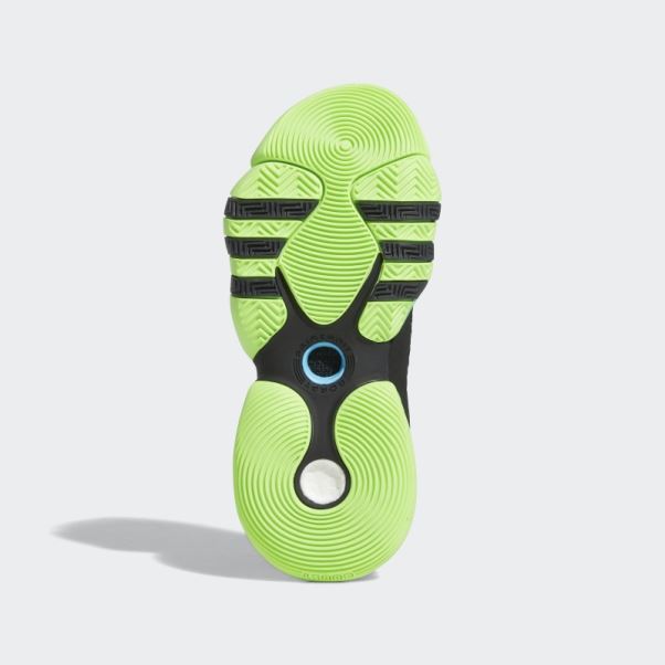 Adidas Trae Young 2.0 Chaussures De Basket Vert élégant