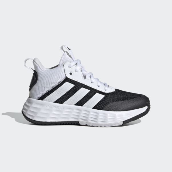 Adidas Ownthegame 2.0 Chaussures Blanc