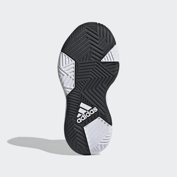 Adidas Ownthegame 2.0 Chaussures Blanc