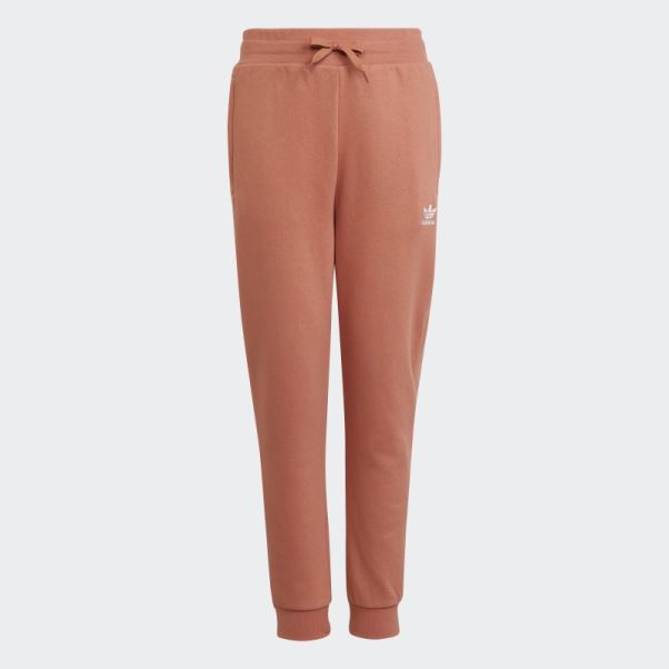 Pantalon Adidas Adicolor Terre