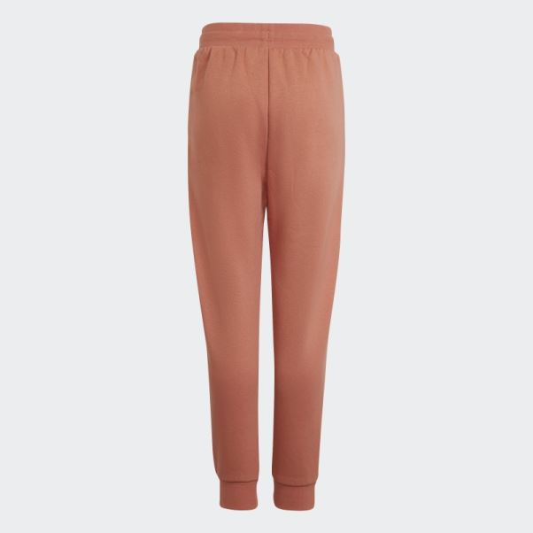 Pantalon Adidas Adicolor Terre