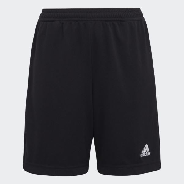 Entrada 22 Short D'entraînement Noir Adidas