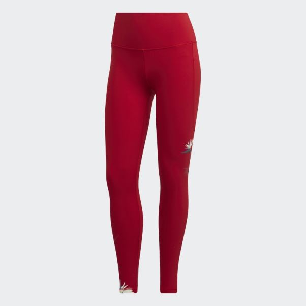 Legging Adidas Thebe Magugu Studio 7/8 Rouge