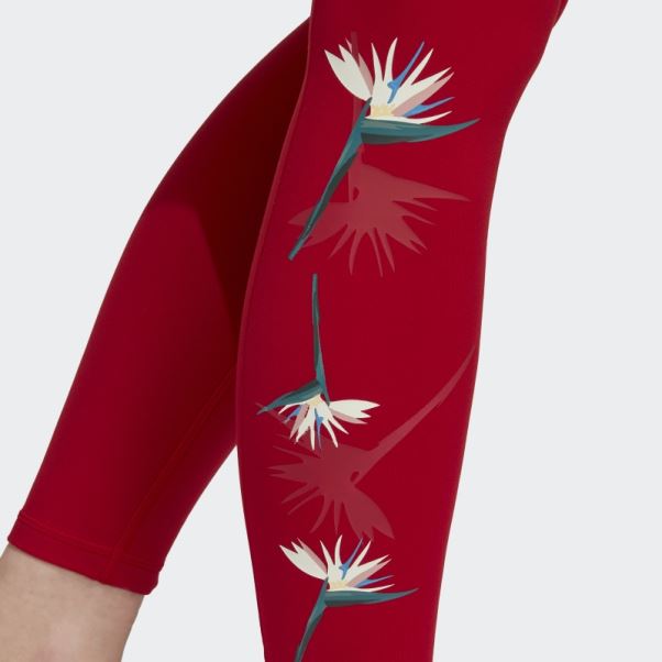 Legging Adidas Thebe Magugu Studio 7/8 Rouge