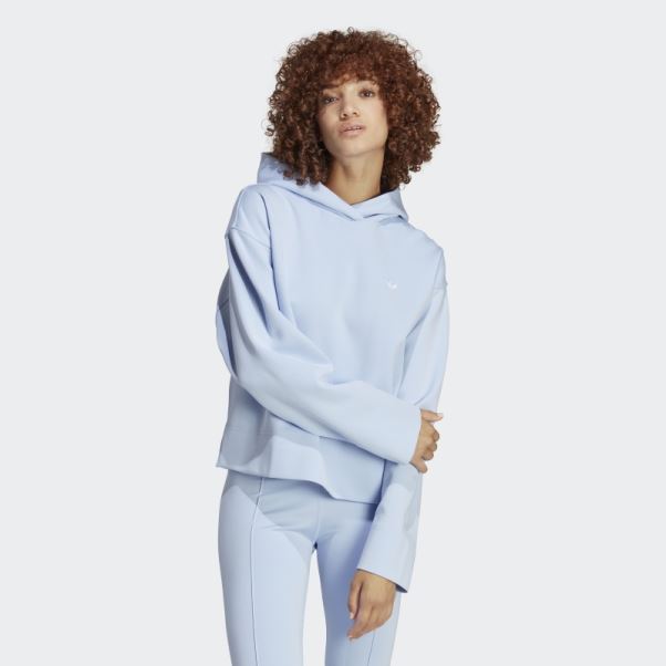 Sweat à Capuche Court Premium Essentials Bleu Aube Adidas