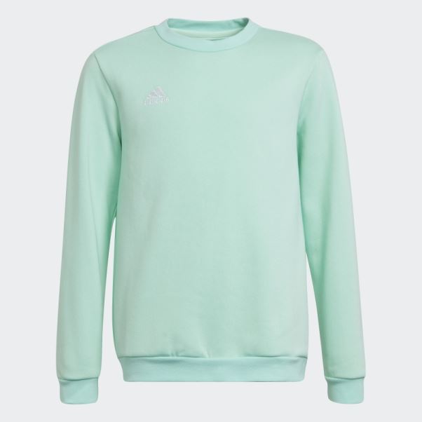 Entrada 22 Sweat Adidas Menthe