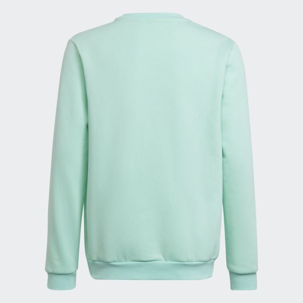 Entrada 22 Sweat Adidas Menthe