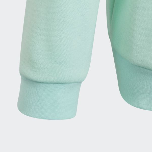 Entrada 22 Sweat Adidas Menthe