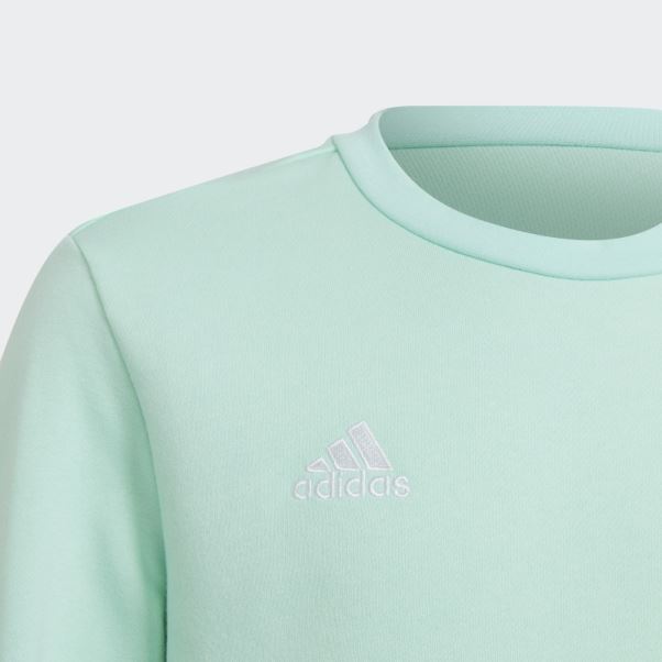 Entrada 22 Sweat Adidas Menthe