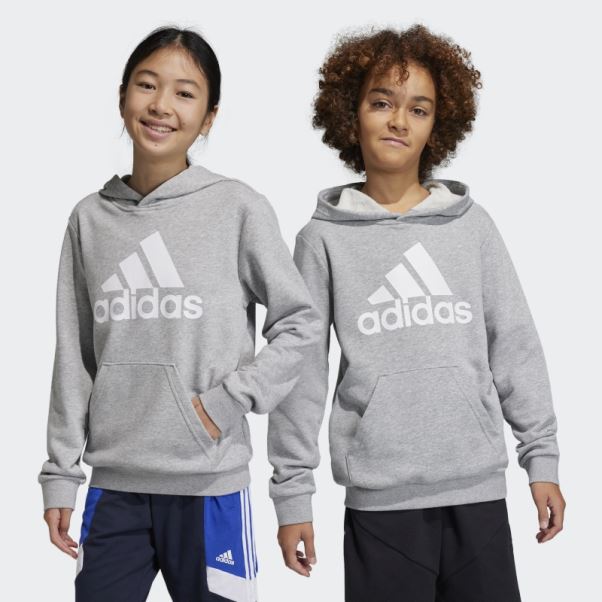 Adidas Sweat à Capuche En Coton Gris Moyen Gros Logo Essentials