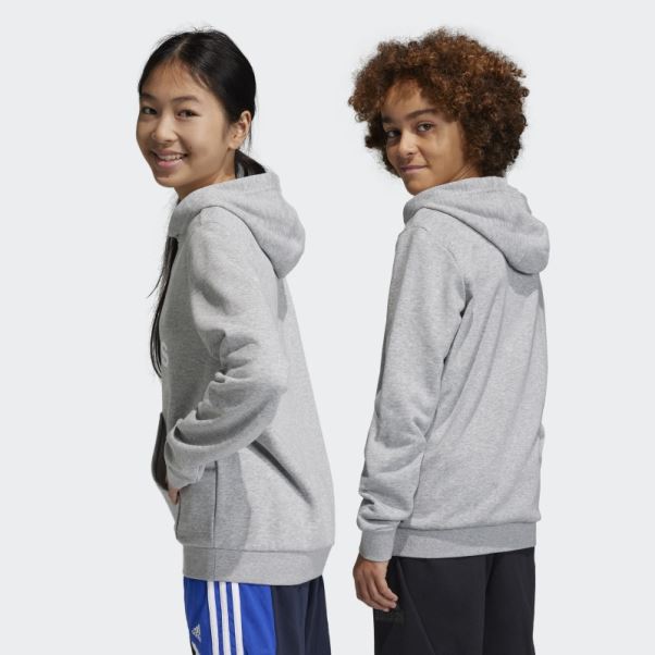 Adidas Sweat à Capuche En Coton Gris Moyen Gros Logo Essentials