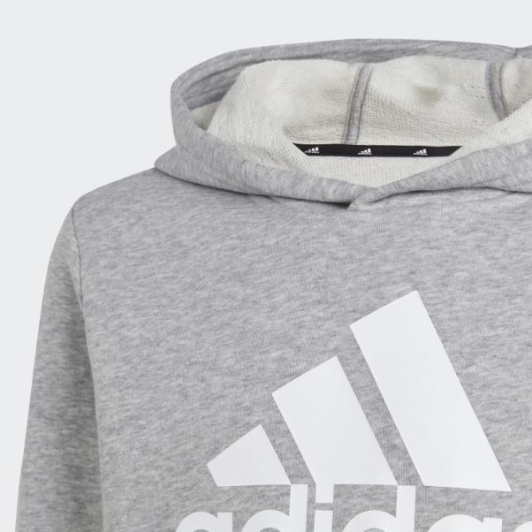 Adidas Sweat à Capuche En Coton Gris Moyen Gros Logo Essentials