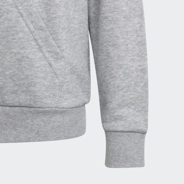 Adidas Sweat à Capuche En Coton Gris Moyen Gros Logo Essentials