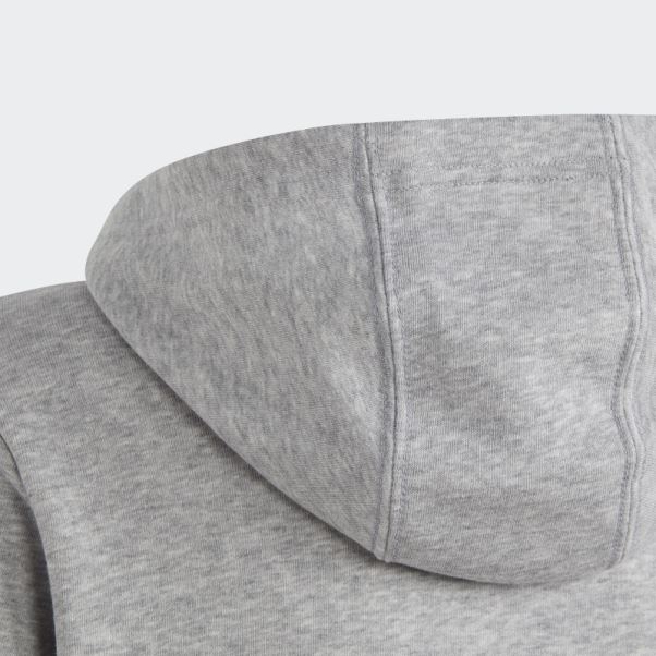 Adidas Sweat à Capuche En Coton Gris Moyen Gros Logo Essentials