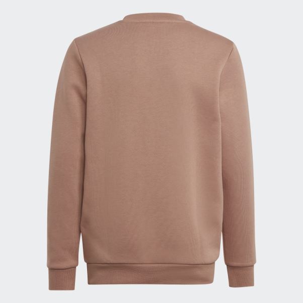 Sweat Adicolor Crew Terre Battue Adidas