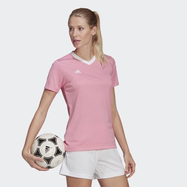 Maillot Adidas Entrada 22 Lueur Rose