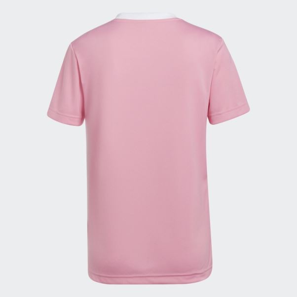 Maillot Adidas Entrada 22 Lueur Rose
