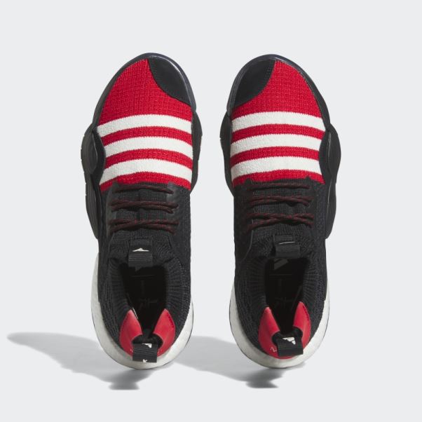 Chaussure De Basket Adidas Trae Young 2.0 Noir
