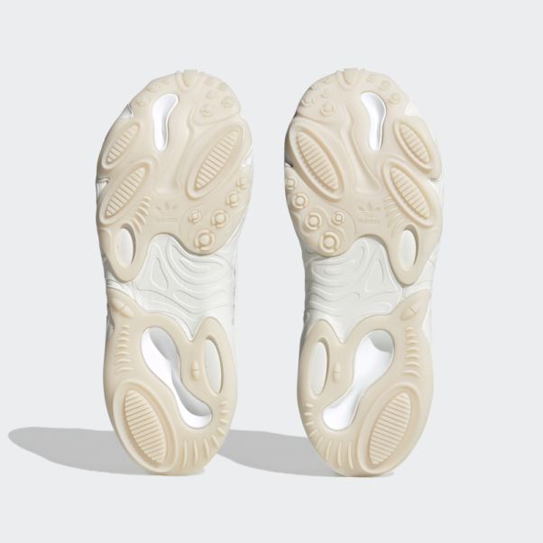Adidas Oznova Chaussures Ecru Teinte