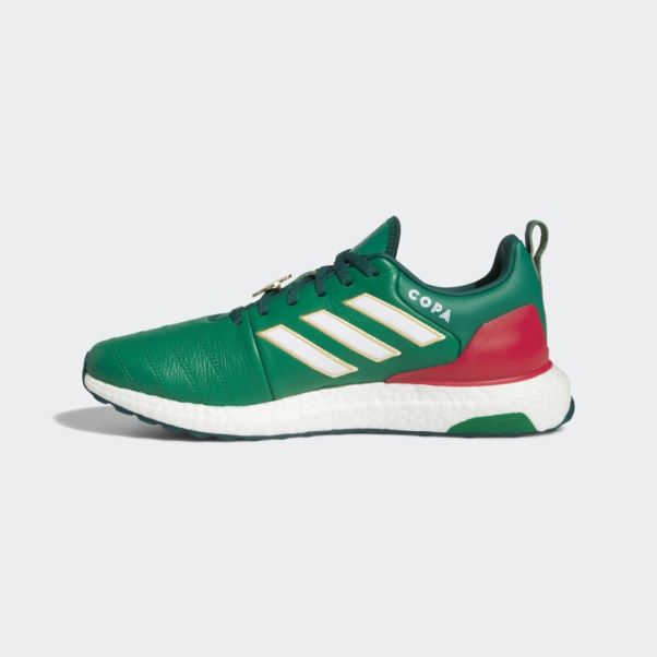 Chaussure Ultraboost Dna X Copa Coupe Du Monde Adidas Vert