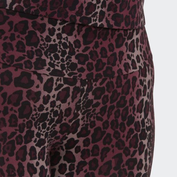 Collants Courts Adidas Bike Marron (grande Taille)