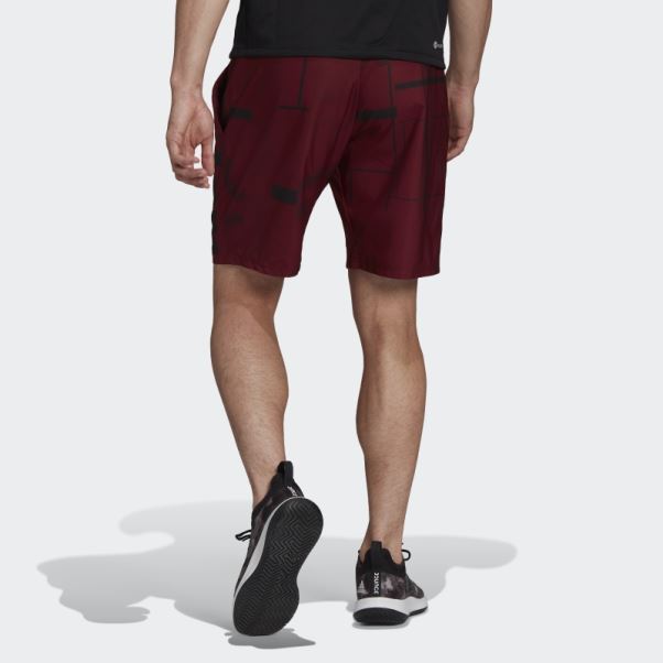 Short De Tennis Graphique Club Adidas Rouge