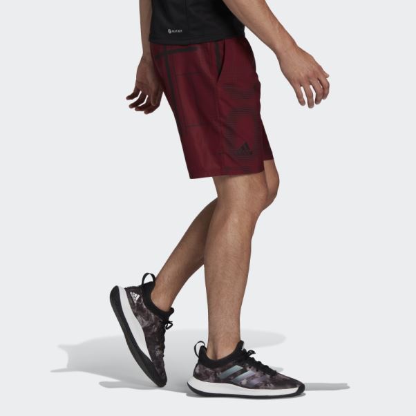 Short De Tennis Graphique Club Adidas Rouge
