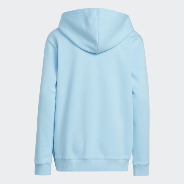 Frozone Sweat à Capuche Bleu Adidas