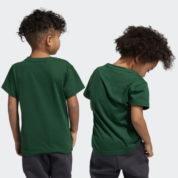 Tee Shirt Adicolor Trèfle Vert Foncé Adidas