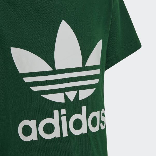 Tee Shirt Adicolor Trèfle Vert Foncé Adidas