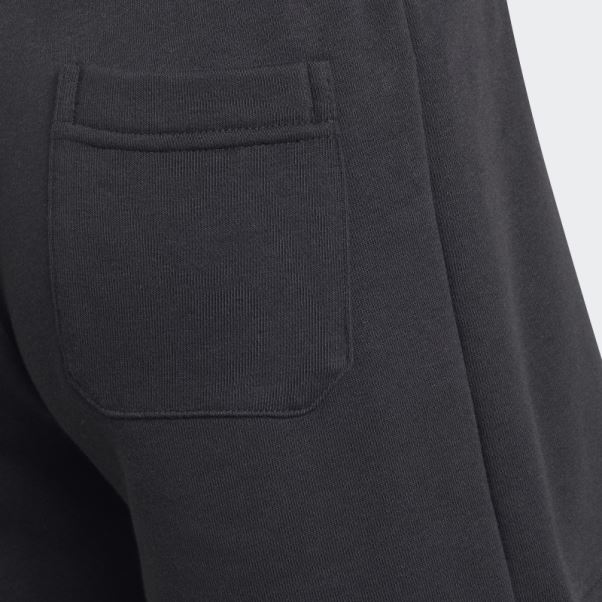 Short De Sport Adidas Future Icons Badge Of Sport Noir