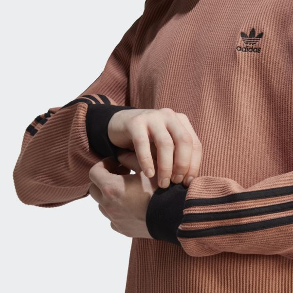 Terre Battue Adidas Adicolor Classics Waffle Crew