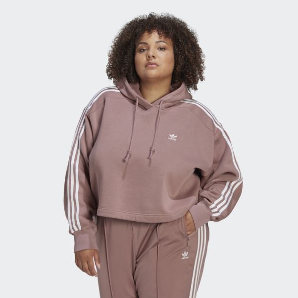 Adidas Adicolor Classics Sweat à Capuche (grande Taille) Violet