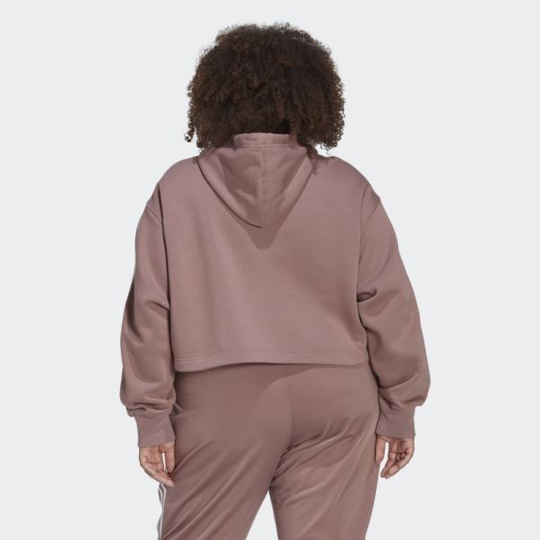 Adidas Adicolor Classics Sweat à Capuche (grande Taille) Violet