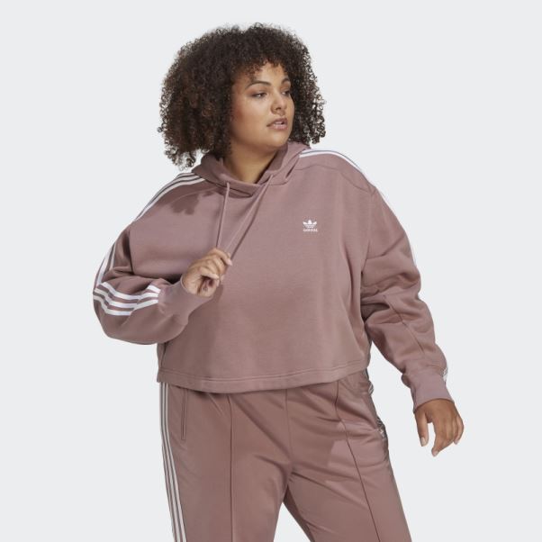 Adidas Adicolor Classics Sweat à Capuche (grande Taille) Violet
