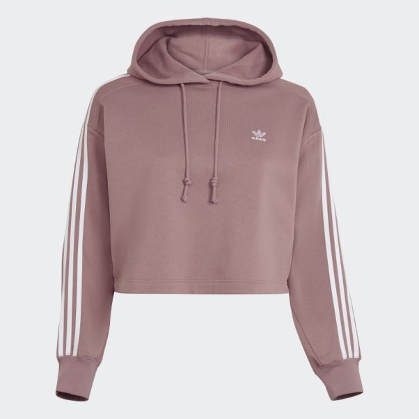 Adidas Adicolor Classics Sweat à Capuche (grande Taille) Violet