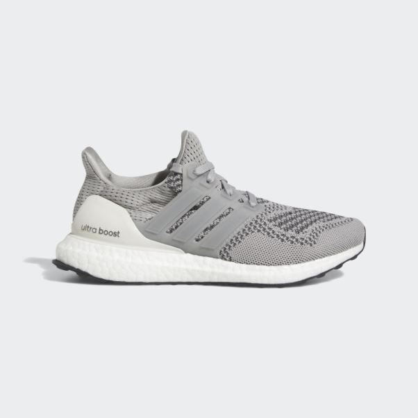 Adidas Ultraboost 1.0 Grise