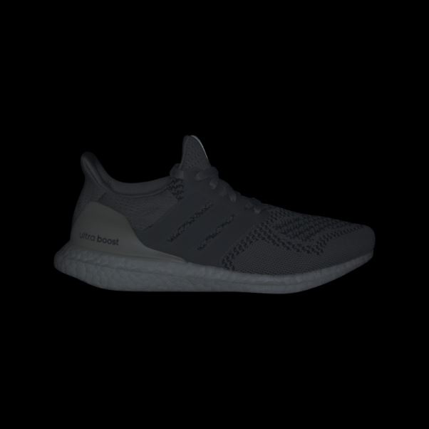 Adidas Ultraboost 1.0 Grise