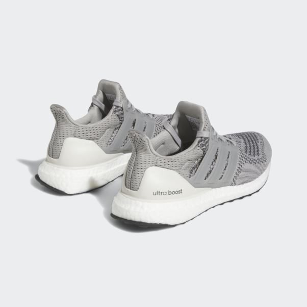 Adidas Ultraboost 1.0 Grise